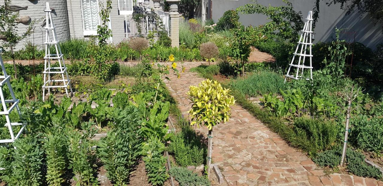 Villa Moi Johannesburg Bagian luar foto